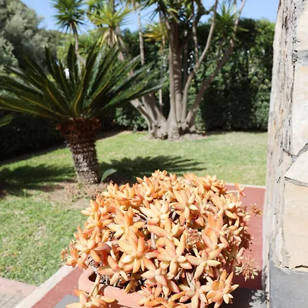 Con Giardino Di 2000mq Al - 400m Dal Mare וילה