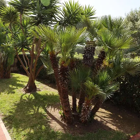 Con Giardino Di 2000mq Al - 400m Dal Mare